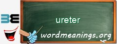 WordMeaning blackboard for ureter